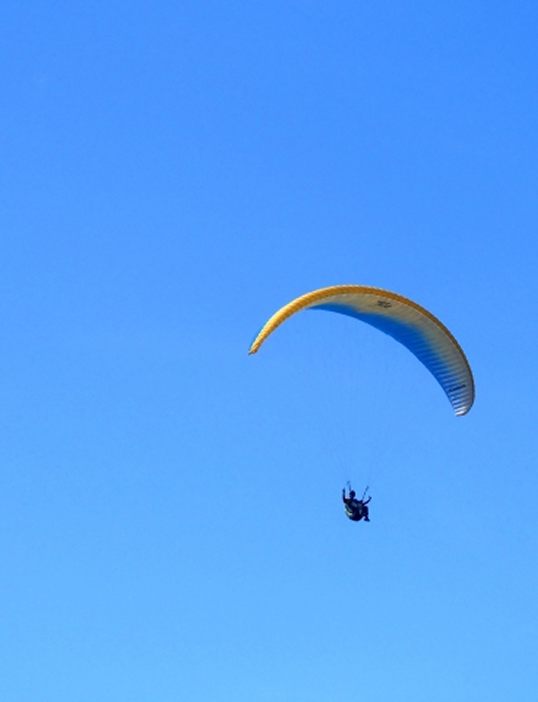 アクティビティ画像